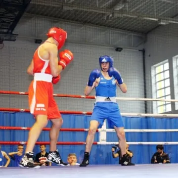 Boks królował w Radomsku