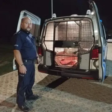 Uratowali rannego bociana