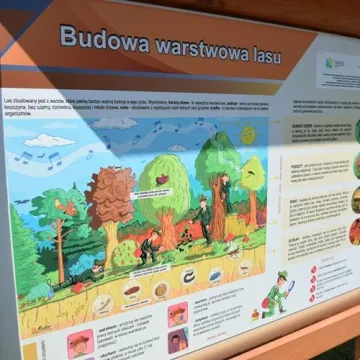 Przy PSP 6 w Radomsku powstał ogród dydaktyczny