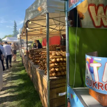 Dni Radomska 2023. Strefa gastro kusi smakołykami