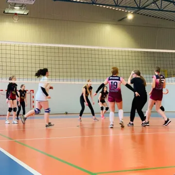 Wyniki XII kolejki Amatorskiej Ligi Siatkówki