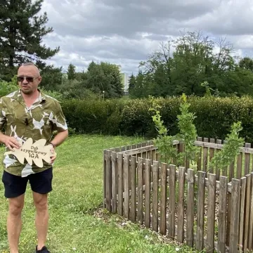 „Iga” – takie imię nosi od dziś dąb w Radomsku. To potomek dębu „Bartek”