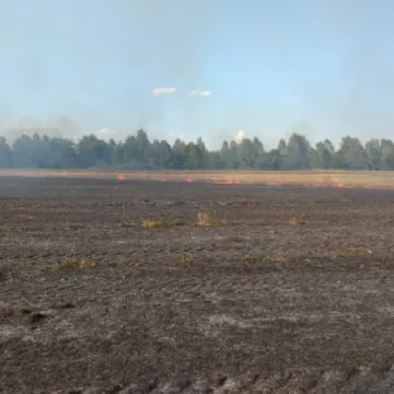 Spłonęło 5 hektarów ścierniska