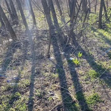 Opony, butelki, worki. Dlaczego wciąż wyrzucamy śmieci gdzie popadnie