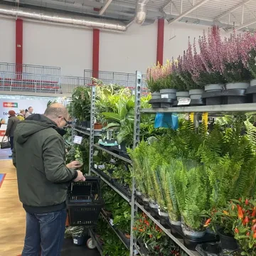 Rośliny opanowały Radomsko. Festiwal Roślin odbył się po raz pierwszy