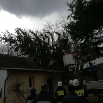 7 interwencji straży pożarnej z powodu silnego wiatru