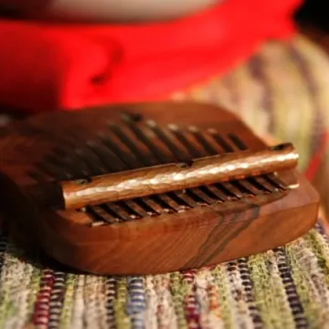 Koncert instrumentów świata z T.ETNO