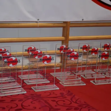 Karatecy na tatami na turnieju w Radomsku