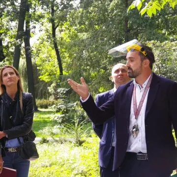 Radny Rączkowski: drzewa w Parku Świętojańskim zagrażają życiu mieszkańców