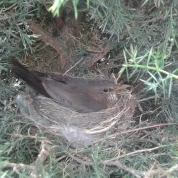 PUP Radomsko: Giełdy pracy dla agencji Human & Hunter i Frigo Logistics