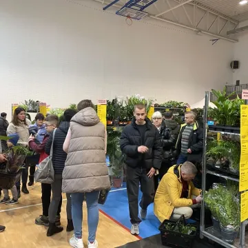 Rośliny opanowały Radomsko. Festiwal Roślin odbył się po raz pierwszy