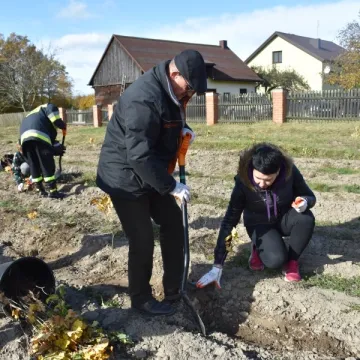 Wspólnie sadzili las