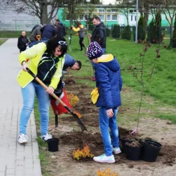 Samorządowcy z Platformy Dialogu sadzili drzewa