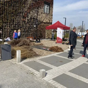 Zielone Radomsko. Darmowe sadzonki dla mieszkańców