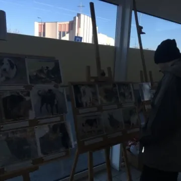 Finał akcji „Podaruj seniorowi domek”