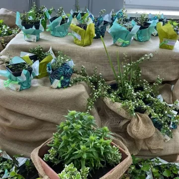 [WIDEO] Dni Otwarte w ZSCKR w Dobryszycach