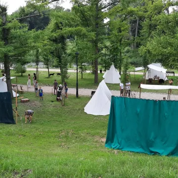 Wielkie Łowy Króla Kazimierza w Przedborzu