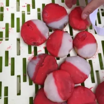 Święto Flagi w Radomsku