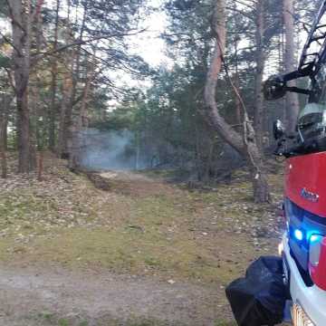 Spaliło się 5 arów poszycia leśniego w okolicach Żytna