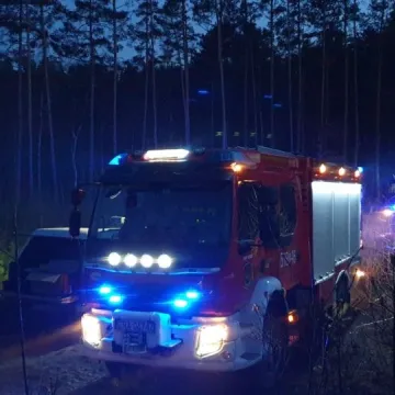 Pożar lasu w Małej Wsi w gm. Żytno