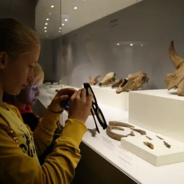 Muzealna wycieczka do Gniezna