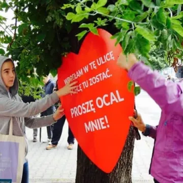 Maszerowali w obronie drzew