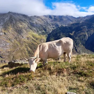 Uczniowie „Mechanika” wrócili z tygodniowej mobilności we Francji