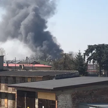 [WIDEO] Pali się „Fameg