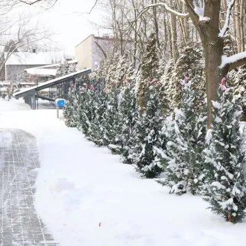 Teren przy DPS zyskał nowe oblicze