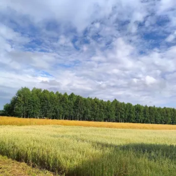 [AKTUALIZACJA] Dwie osoby ranne w wypadku w gminie Masłowice