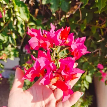 Cypryjska przygoda uczniów Ekonomika