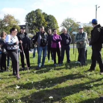 Wędrówki w Kolorach Jesieni