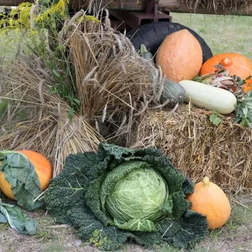 Społeczność Szczepocic dziękowała za plony