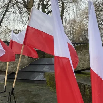 Kwiaty w rocznicę wyzwolenia Radomska