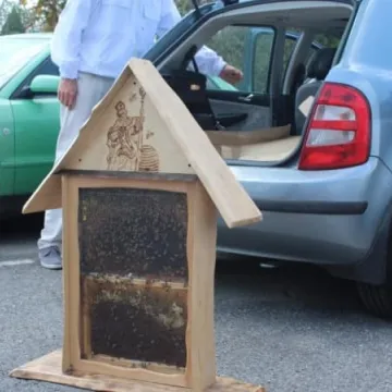 Radomszczańscy pszczelarze świętowali 