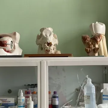 Szkoła rolnicza w Dobryszycach otworzyła drzwi