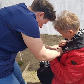 W schronisku w Radomsku bezpłatnie czipowano zwierzęta