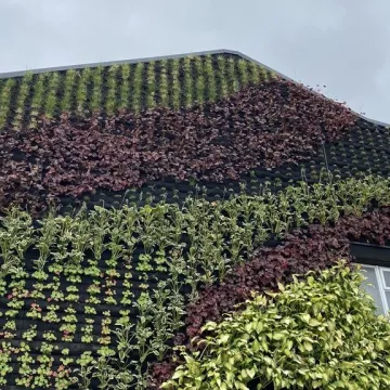 Ogrody wertykalne w Radomsku oficjalnie oddane do użytku