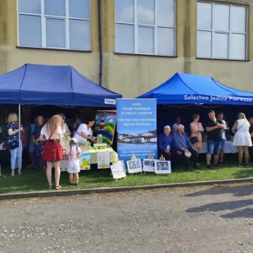 Dożynki w Jedlnie: koncerty, atrakcje i podziękowania za plony