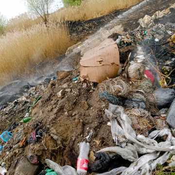Borzykowa: płonęły śmieci i trawa