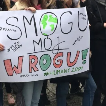 Młodzieżowy strajk klimatyczny w Radomsku
