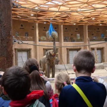 Jednym słowem działo się w pierwszym tygodniu ferii w MDK