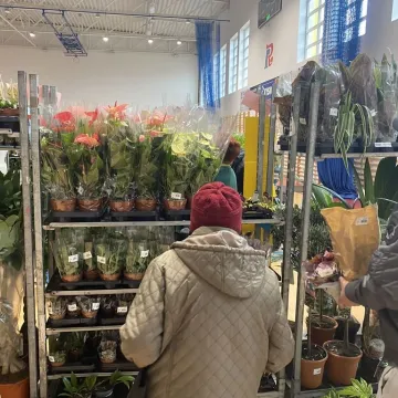 Rośliny opanowały Radomsko. Festiwal Roślin odbył się po raz pierwszy