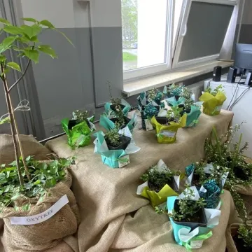 [WIDEO] Dni Otwarte w ZSCKR w Dobryszycach