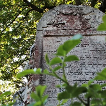 Zdobyli fotograficzne szlify