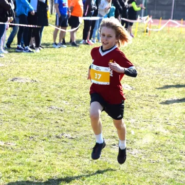 6. bieg stolarza zakończył obchody Święta Stolarza w Radomsku