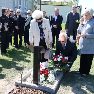 W ZSP nr 1 w Radomsku odsłonięto Dąb Pamięci