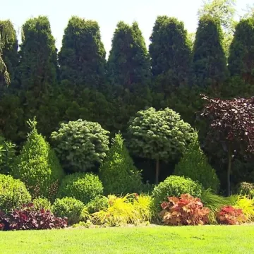 Program „Rok w Ogrodzie Extra” prosto z Radomska z ogrodu pani Barbary