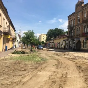 Kolejne drzewa na Reymonta wycięte