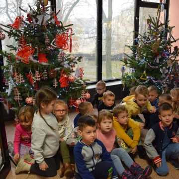 Mikołajki w MBP w Radomsku. Były prezenty i wspólne ubieranie choinek